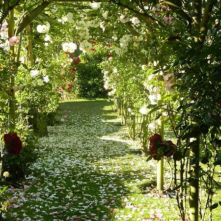 Bed and Breakfast L'Oisellerie
