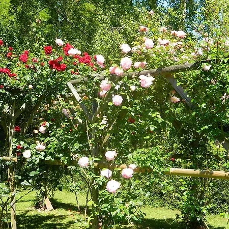 L'Oisellerie Ancinnes