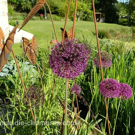 Bed and Breakfast L'Oisellerie Ancinnes