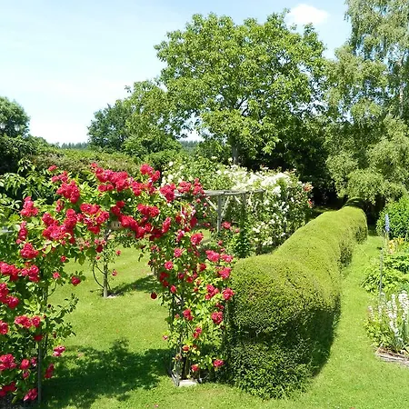 Bed and Breakfast L'Oisellerie Ancinnes